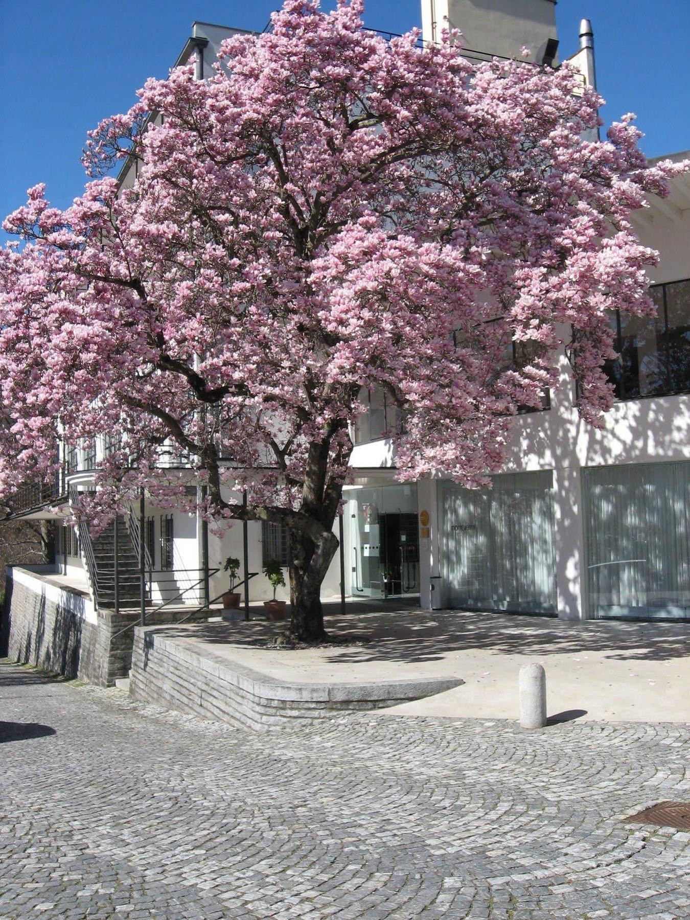 Hotel Monte Verita Ascona Bagian luar foto